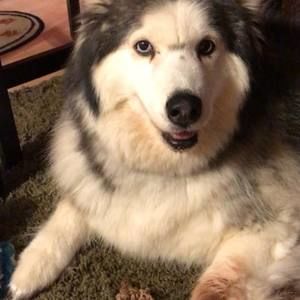 Meet your Posher, Cecilia